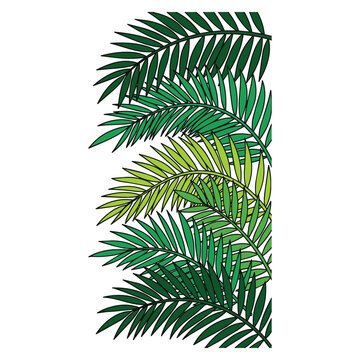 Decorative tropical vector foliage featuring layered green palm leaves and exotic fronds arranged as a lush vertical botanical border for summer, nature and travel designs