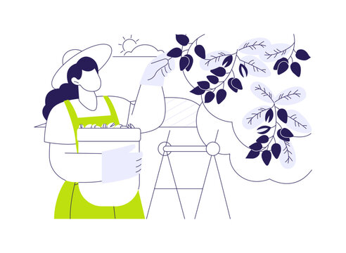 Pistachios growing isolated cartoon vector illustrations.