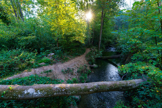 Bi&egrave;vre river near Buc village in&Icirc;le-de-France region