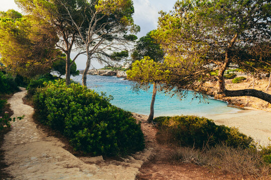 Cala Esmeralda cove through pine trees in Cala d'Or, Mallorca, Spain.
