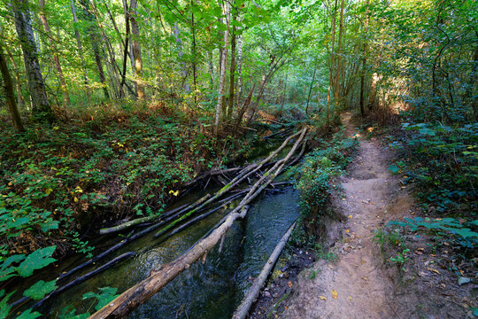 Bi&egrave;vre river near Buc village in &Icirc;le-de-France region