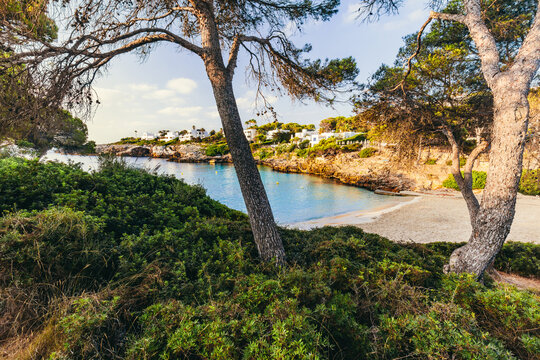 Pine-framed sandy cove at Cala Esmeralda, Mallorca, Spain.