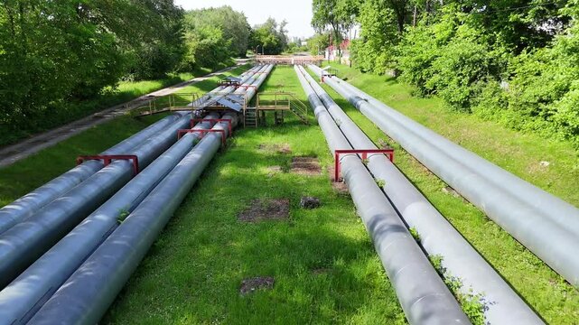Aerial view of industrial pipes for gas, water, and oil running parallel across a green landscape, showcasing their weathered surfaces and surrounding vegetation in a natural setting