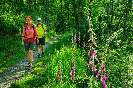 A man and a woman hike a forest trail in Germany