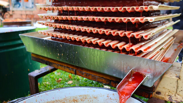 Freshly pressed chokeberry and apple juice pouring from a traditional fruit press into a collection bucket, highlighting the natural process of homemade beverage production during autumn harvest