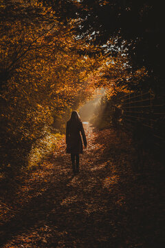 Woman walks on a forest path in autumn sunlight