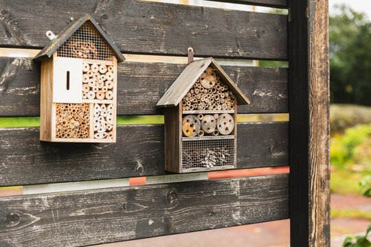 Two wooden insect hotels hang on a dark fence in a garden outdoors