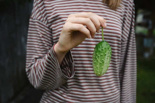 A girl holds a fresh green cucumber in a summer garden