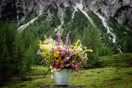 A bucket holds a bouquet of alpine flowers in the mountains