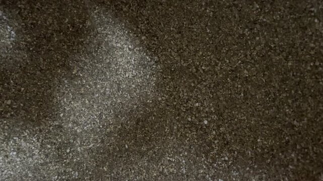 Macro Close Up Animal Feed Mash Inside Sack for Poultry and Livestock Industry