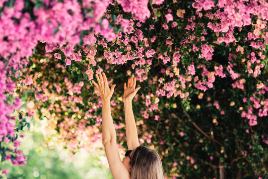 Woman reaching for pink blossoms in park