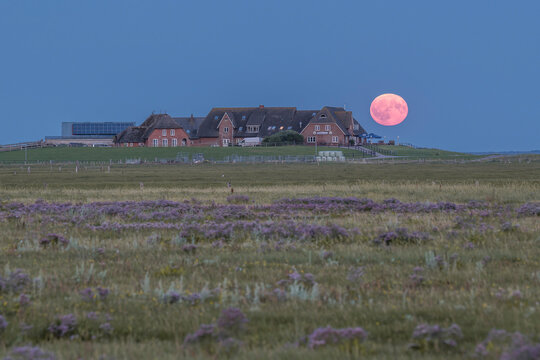 Full moon rising over houses on Hallig Langeness in Germany