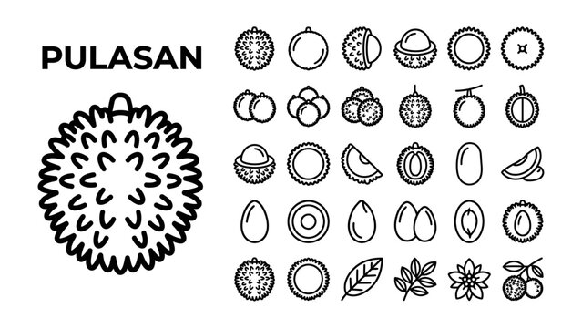 Pulasan Fruits and Other Tropical Fruit Icons: A collection of diverse tropical fruit icons, featuring the spiky pulasan fruit and various other fruits, presented in a clean, illustrative style.