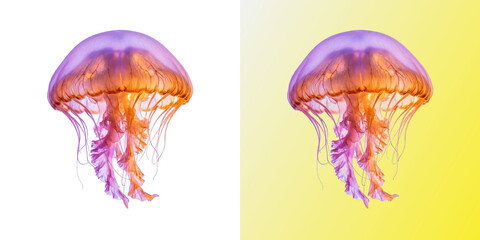 Vibrant glowing jellyfish swimming in deep ocean waters © JKFeloxy