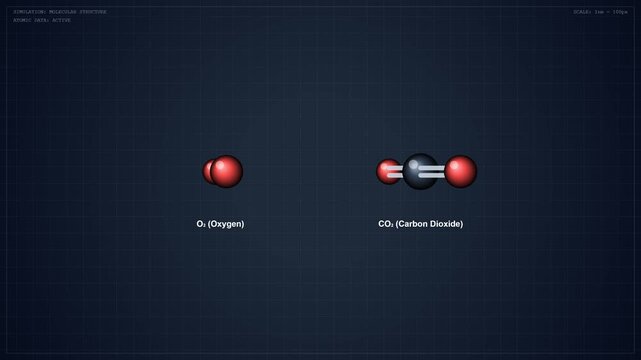 High-quality 4K educational science animation showing 3D structures of Oxygen (O2) and Carbon Dioxide (CO2) molecules. Features accurate double bonds, smooth camera zoom and rotation, and a clean dark