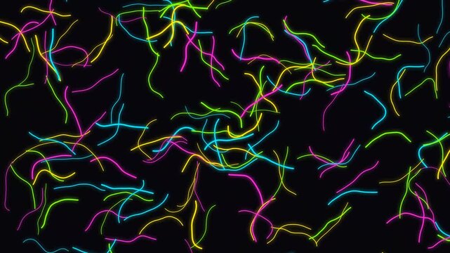 Neon glow wavy lines animation background, vibrant multicolor abstract, motion loop for