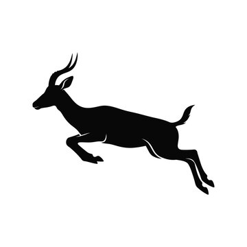 Silhouette of a jumping gazelle