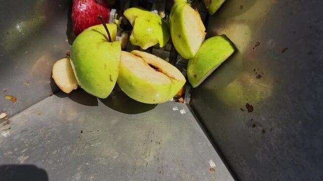 Slow Motion of Two Men Crushing Apples for Juice Pressing Today