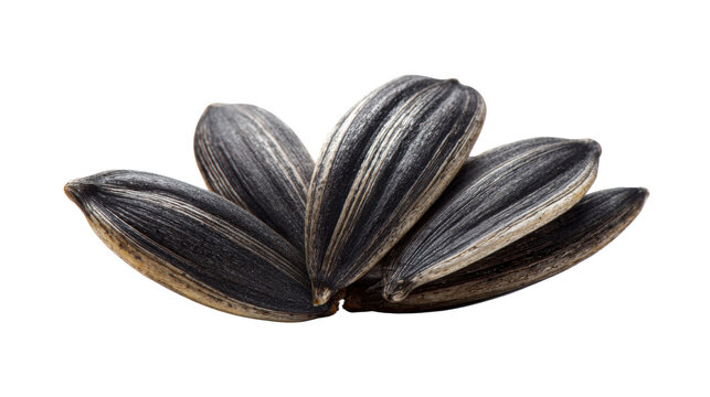 Black striped sunflower seeds in shell, macro closeup of raw organic seeds, healthy snack, natural agriculture ingredient nutrition on white background