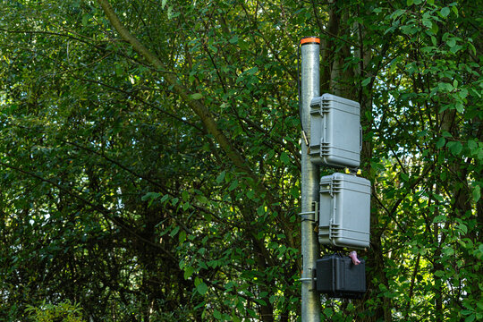 Electrical distribution boxes are mounted on a mast in a forest area.