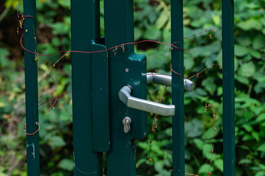 Gate with lock surrounded by green plants and vines