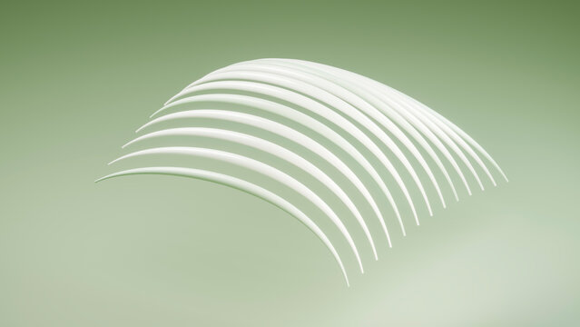 White rib bones forming anatomical arc shape