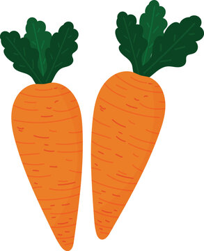 carrots with leaves in flat vector style.