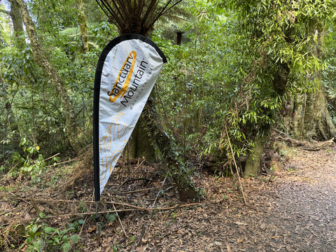 A display flag planted in the ground of a New Zealand tropical forest advertises the nature reserve of 'Sanctuary Mountain' , Maungatautarai.