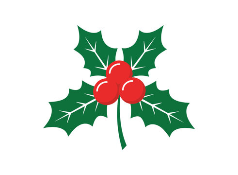 Holly branch with red berries flat vector illustration on white background