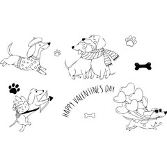 Obraz premium Cute dachshund dogs Valentines day set with cupid dachshund lovers couple and heart balloons line art vector illustration