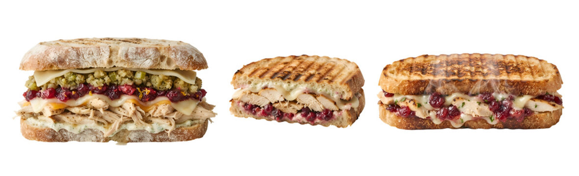Delicious toasted turkey sandwiches with savory stuffing and cranberry sauce layered inside rustic artisan bread slices arranged for a culinary showcase on transparent background