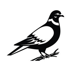 Fototapeta premium City Pigeon Dove Bird Standing Silhouette Graphic