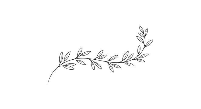 Minimalist Hand Drawn Leafy Branch Line Art Illustration