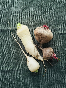 Draufsicht auf rohen Rettich und Rote Beete auf einem K&uuml;chentuch. Gem&uuml;se, kochen, Vorbereitung.