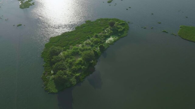 Drone Lake view, Green grass in the water 