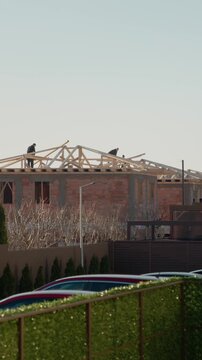 Vertical Screen: Workers are constructing the roof of a house in a residential area on a clear day. The structure is in progress and shows the framework being put into place.