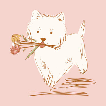 The West Highland White Terrier adorable fluffy puppy holding yellow flower in mouth with petals in playful naive vector illustration