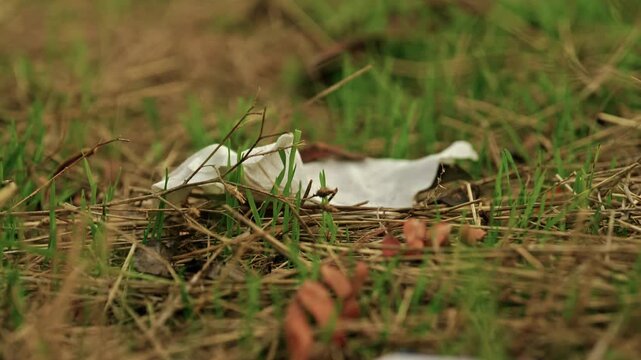 Close-up shot of discarded plastic waste and litter lying among dry grass in a rural field under soft overcast light.