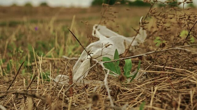 Close-up shot of discarded plastic waste and litter lying among dry grass in a rural field under soft overcast light.