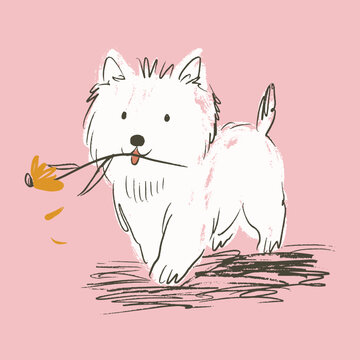 The West Highland White Terrier adorable fluffy puppy holding yellow flower in mouth with falling petals in playful naive vector illustration