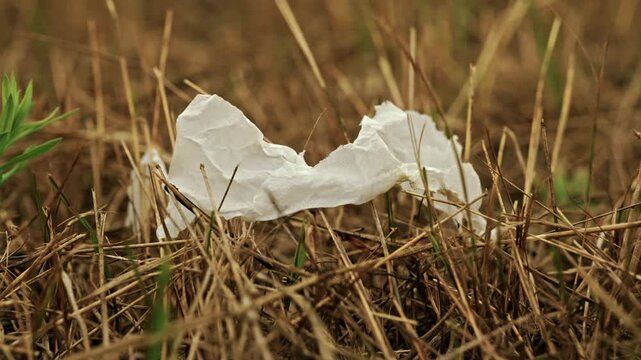 Close-up shot of discarded plastic waste and litter lying among dry grass in a rural field under soft overcast light.