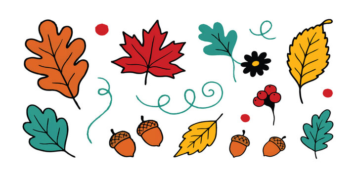 Set of hand drawn autumn leaves and acorns colorful doodle icons for fall season design elements