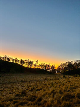 Beautiful sunrise over the savanna of Mount Lawu, Central Java, Indonesia, with golden grasslands and silhouetted trees beneath a colorful morning sky.