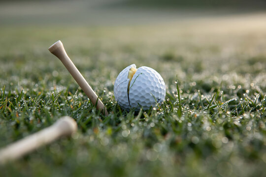 Cracked golf ball on dewy grass with wooden tees in soft morning light