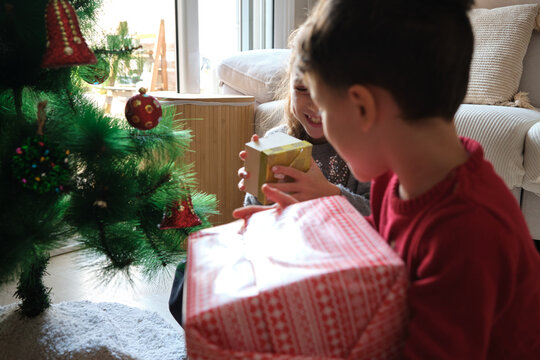 Children celebrating christmas receiving present at home