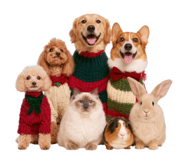 Obraz premium PNG Festive pets wearing knitted holiday sweaters, isolated on white