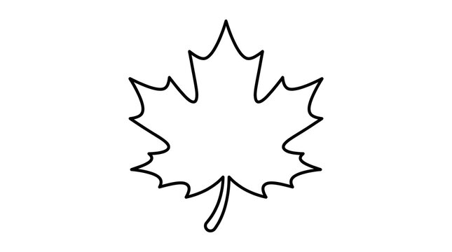 Simple black and white outline of a maple leaf on white background