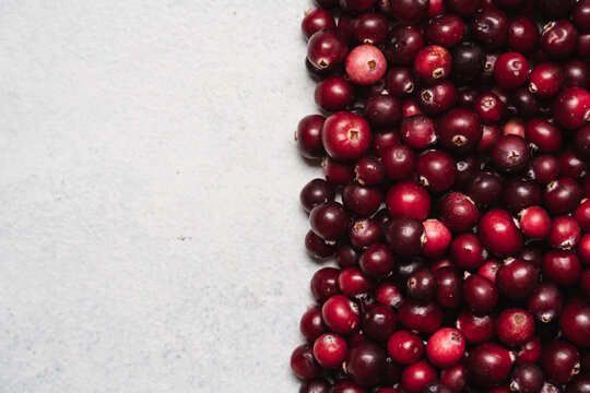 Fresh ripe cranberries close up, red berry background and seasonal autumn fruit texture