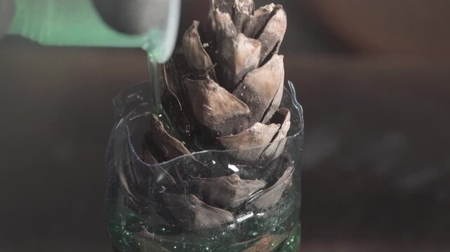 A craftsman in gloves pours clear green liquid epoxy resin with glitter over a dry pine cone inside a plastic mold, macro close-up shot.