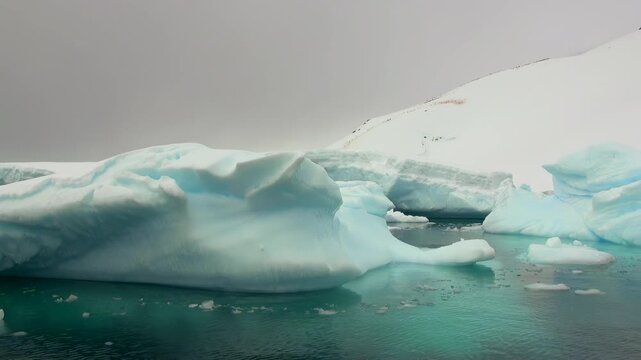 Low Sculpted Iceberg Floating Before a Snowy Shore. A smooth irregular blue-white iceberg stretches across calm water, with rounded cavities, broken edges and a snow-covered background.